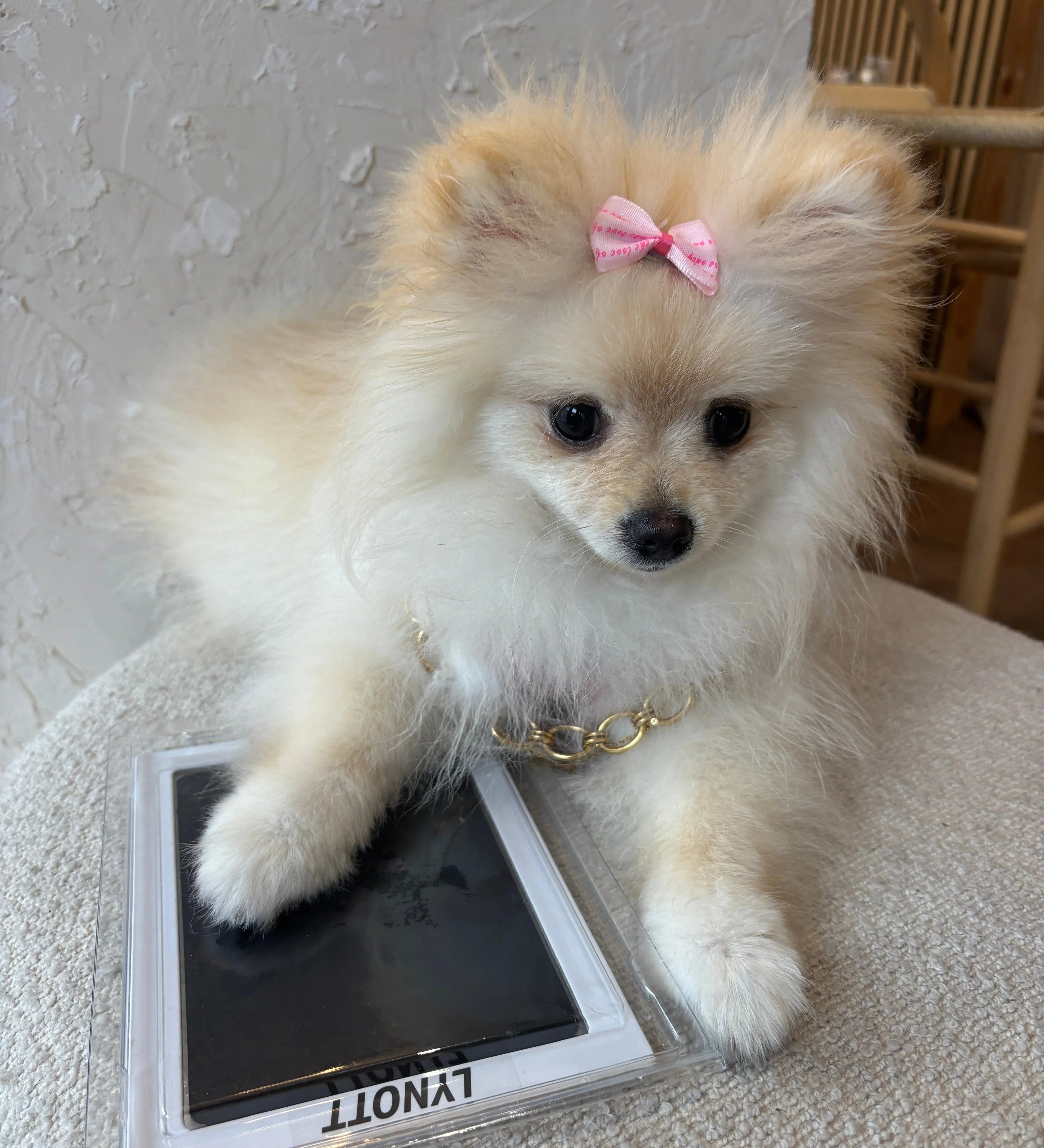 THE LYNOTT INK PAD - Lynott Jewellery