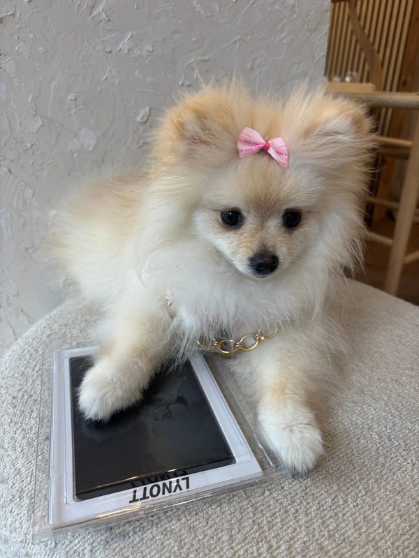 La almohadilla de tinta