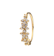 RAVEN ADJUSTABLE RING best gold plated tarnish and water resistant piece by - Lynott Jewellery