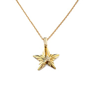 SECRET MESSAGE ENGRAVABLE STAR NECKLACE best gold plated tarnish and water resistant piece by Irish Jewellery brand - Lynott Jewellery